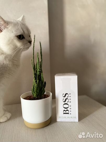 Hugo boss bottled unlimited