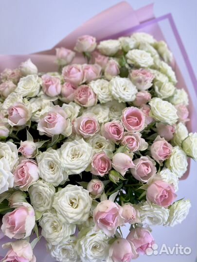 Букет из 25 кустовых Роз в матовой бумаге
