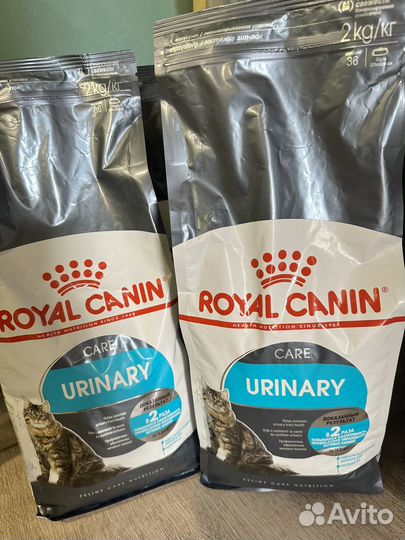 Сухой корм для кошек роял канин