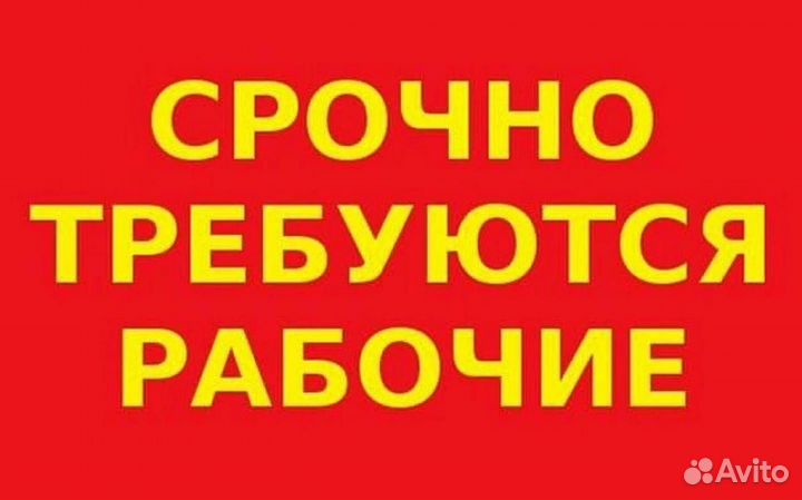 Транспортировщик без опыта работы