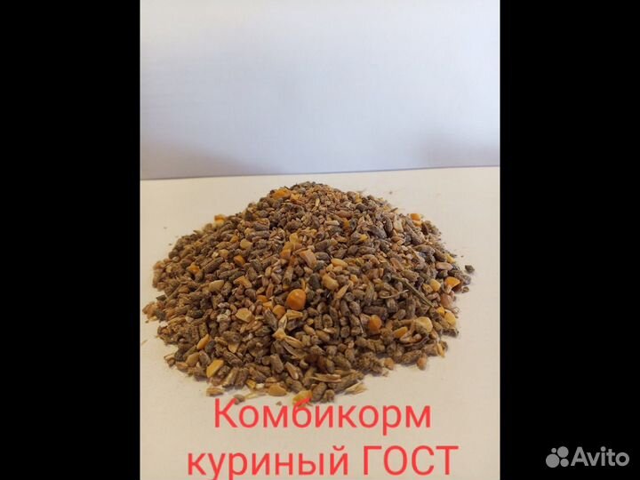 Бройлеры, корм для бройлеров