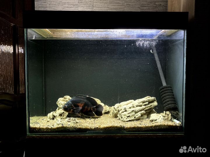 Аквариум на 250 литров с тумбой
