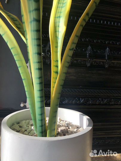 Цветы искусственные (130см) в горшке из бетона