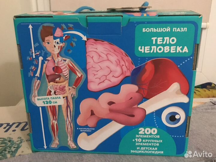Большой пазл Тело человека