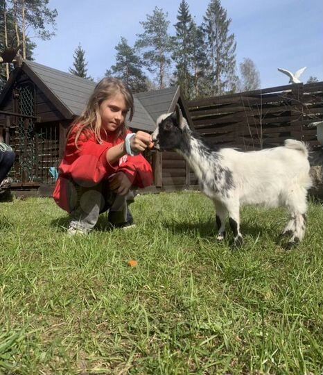 Дом 130 м² на участке 40 сот.