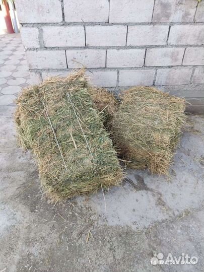 Сено люцерны в тюках