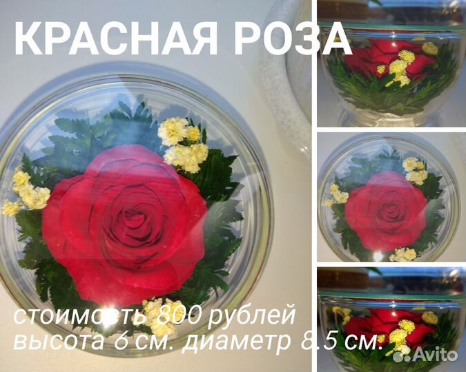 Розочки в вакууме