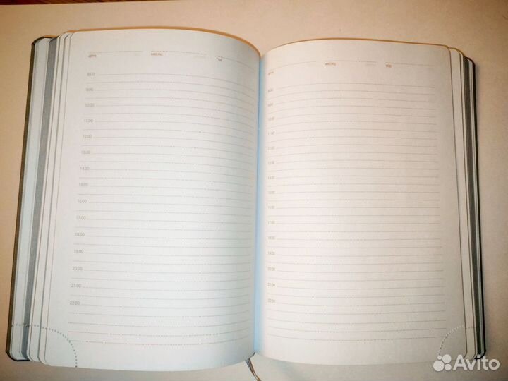 Ежедневник недатированный