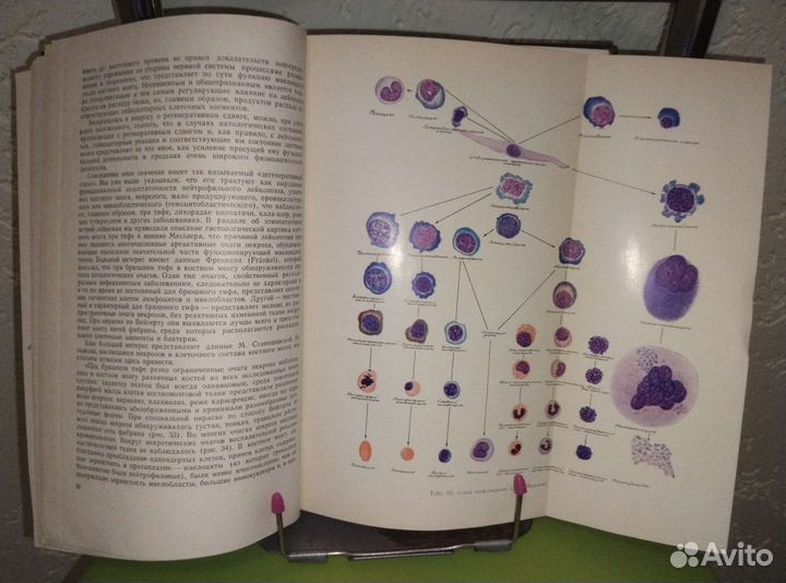 Клиническая гематология. Госмедиздат УССР 1962