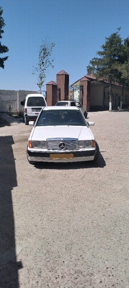 Mercedes-Benz 190 (W201): фото из отзыва