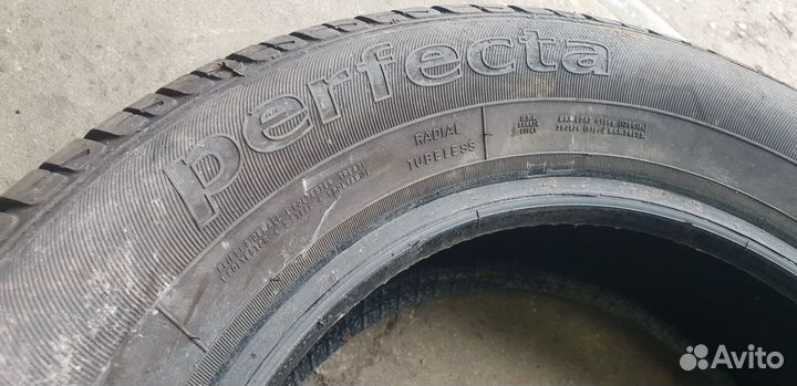Sava Perfecta 195/65 R15