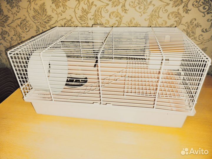 За вкусняшки хомяк с клеткой домиком