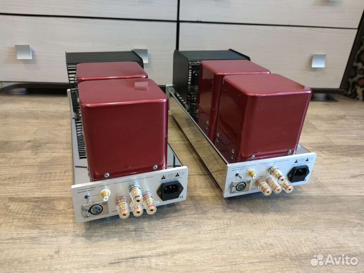 Ламповые моноблоки Triode Tri TRV-M300SE