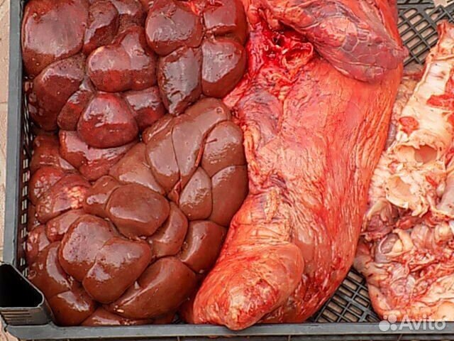 Говядина, субпродукты для собак