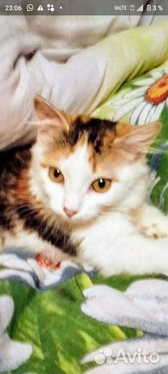 Малышка Полинка- Поля - Пошечка- Полюся 3,5мес