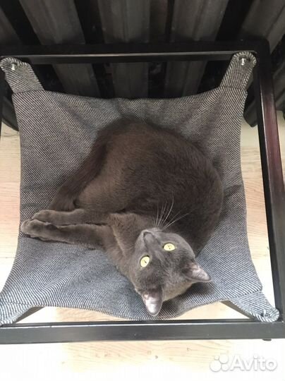 Гамак для кошек