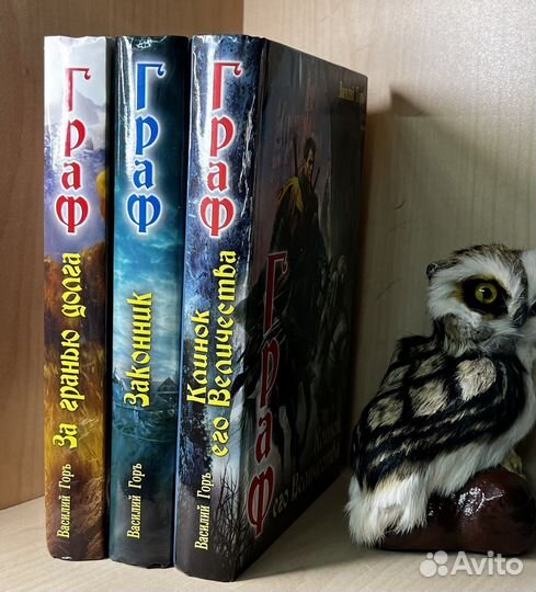 Горъ Василий. Цикл Граф: За гранью долга. Законник