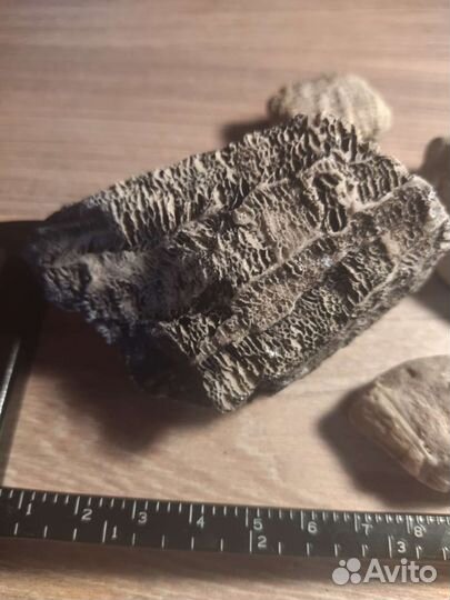 Кораллы, набор