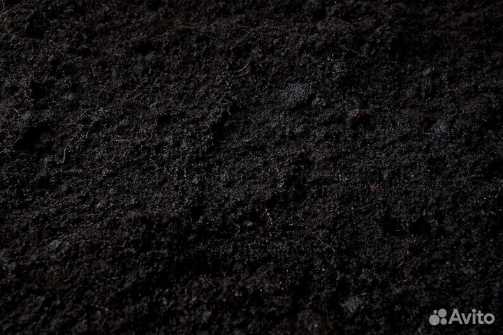 Доставка торфа район камгэс