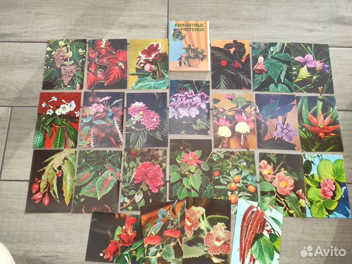 Наборы открыток 80-х Цветы