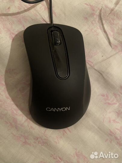 Мышь canyon