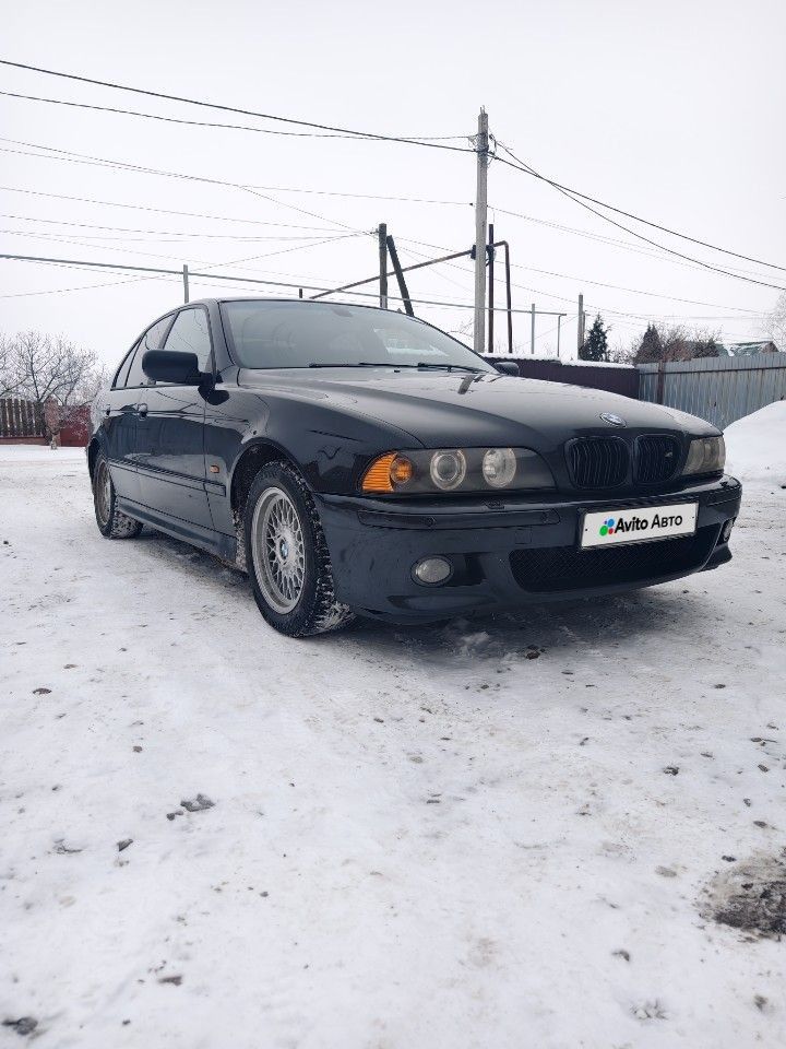 BMW 5 серия: фото владельца
