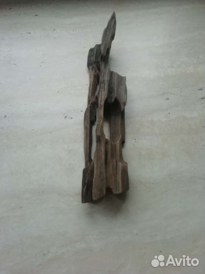 Коряга,камень