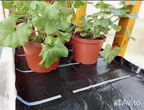 Капиллярный мат