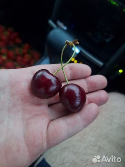 Клубника и Черешня свежая с доставкой