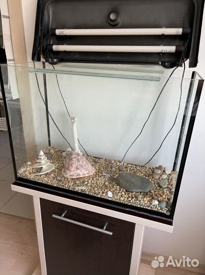 Аквариум с тумбой бу (неотделимы)