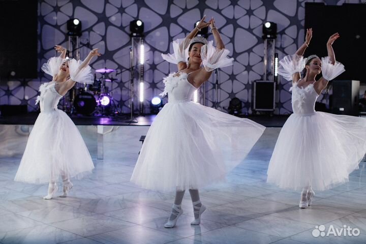 Организация мероприятий