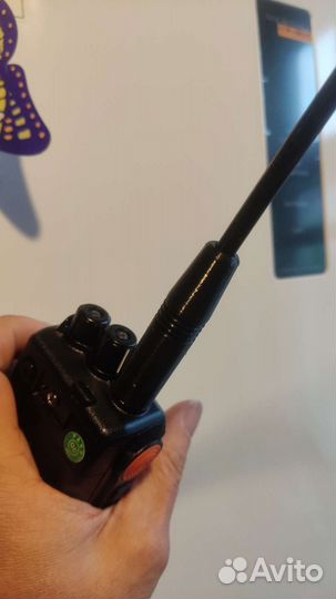 Набор Лесника, который потерялся в лесу Аргут А36