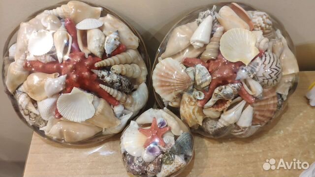 Набор ракушек