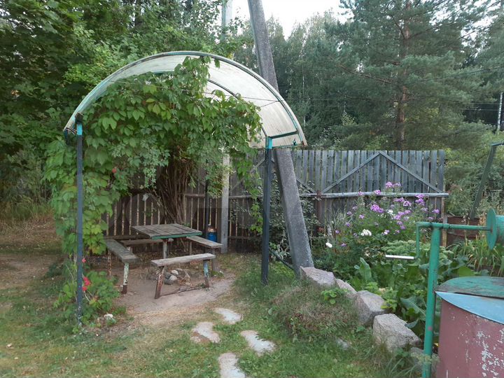 Дача 20 м² на участке 11,6 сот.