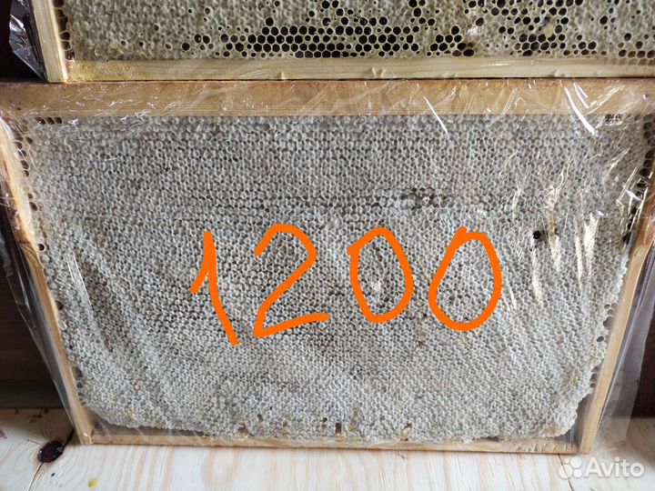 Мед в сотах