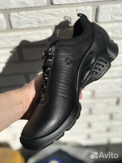 Кроссовки ecco biom m c