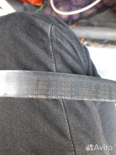 Ремень грм ford focus 3 1.6