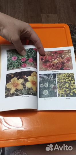 Растения цветы. Книга про растения