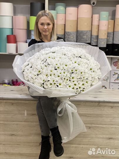 Цветы, букеты, 51 хризантема, гиганты