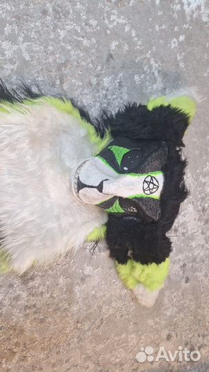 Фурсьют раптор