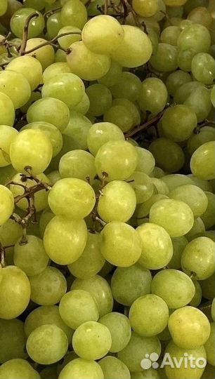 Картофель и другие овощи с бесплатной доставкой