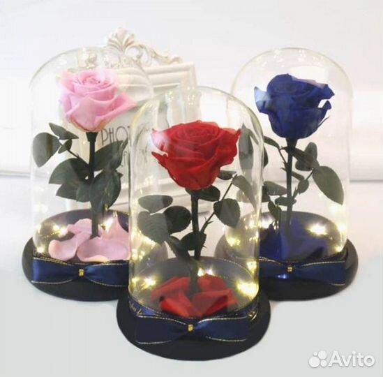 Роза в колбе. От производителя