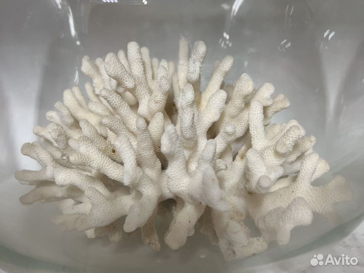 Украшения для аквариумов