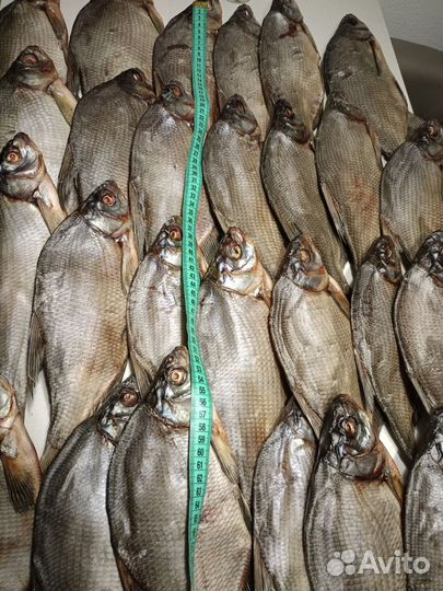 Рыба горячего копчения, вяленая