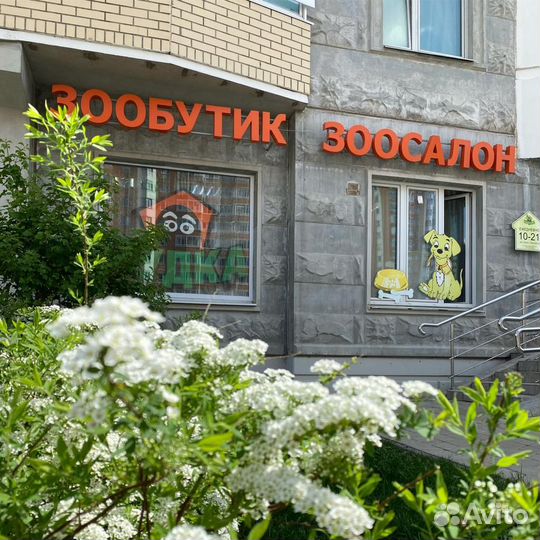 Ассистент Грумера. Мастер по стрижке собак, кошек