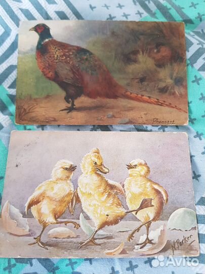 Старинные открытки письма