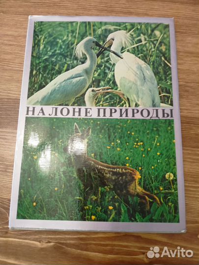 На лоне природы, Борис Георгиев, 1984