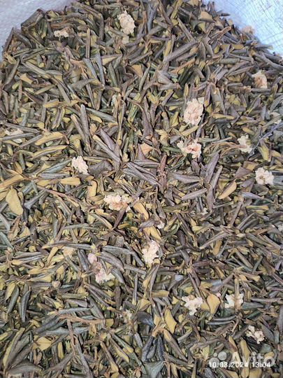 Саган дайля