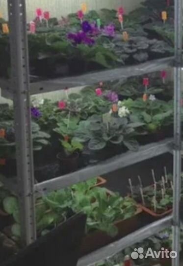 Стеллаж для рассады