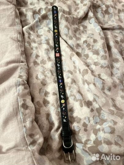 Амуниция для собак (описание)